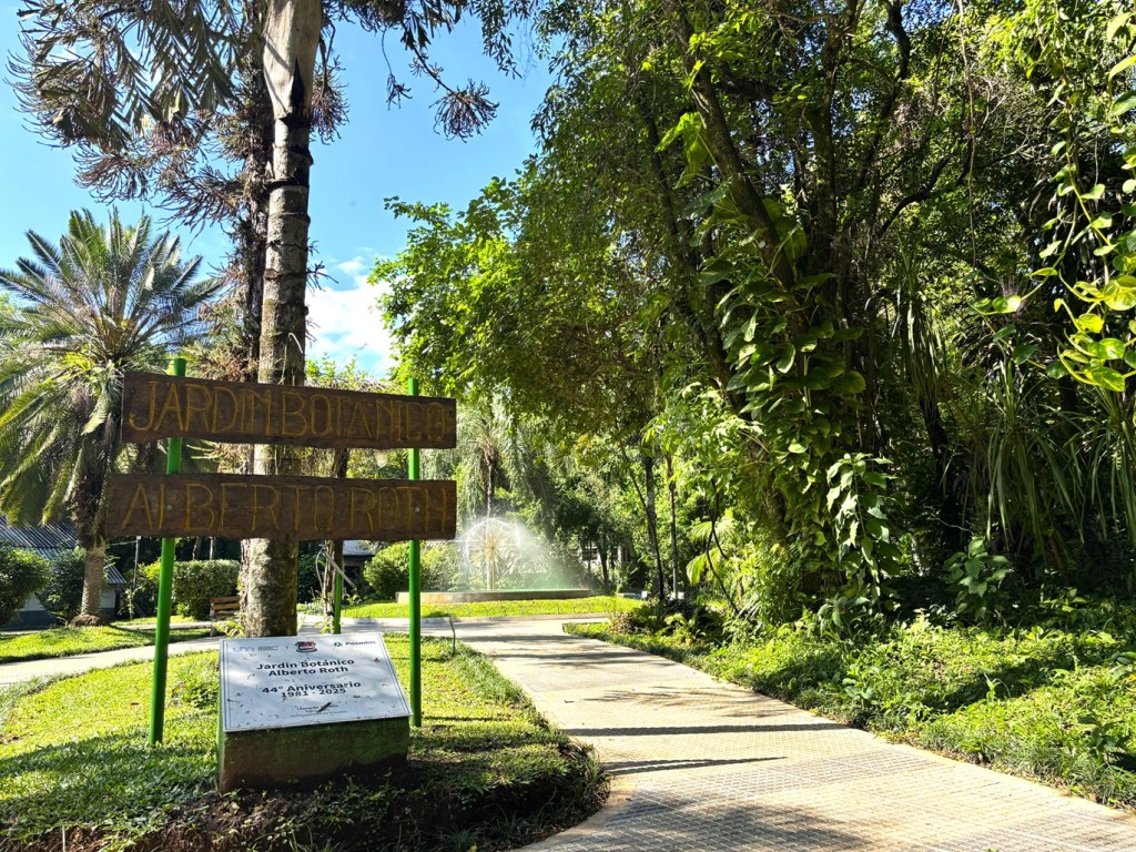 Jardin Botanico Alberto Roth — Your First Glimpse of the Misiones&nbsp;Rainforest
