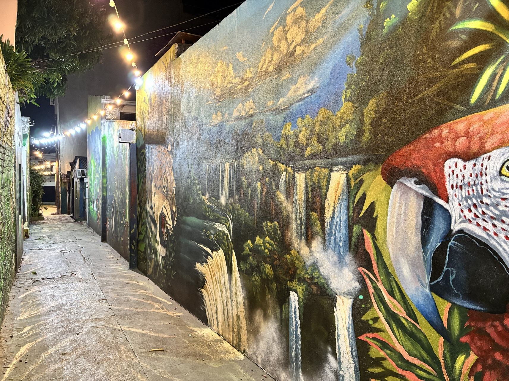 Pasaje Bermúdez – Posadas’ Urban Jungle